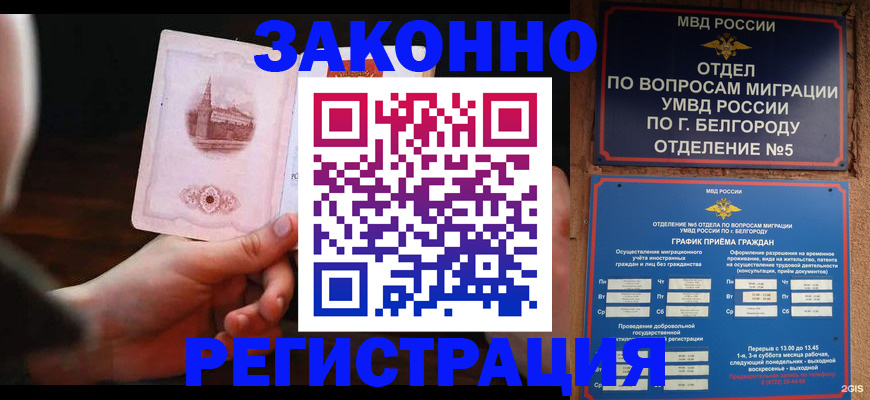 прописка 2025 в Мурманске