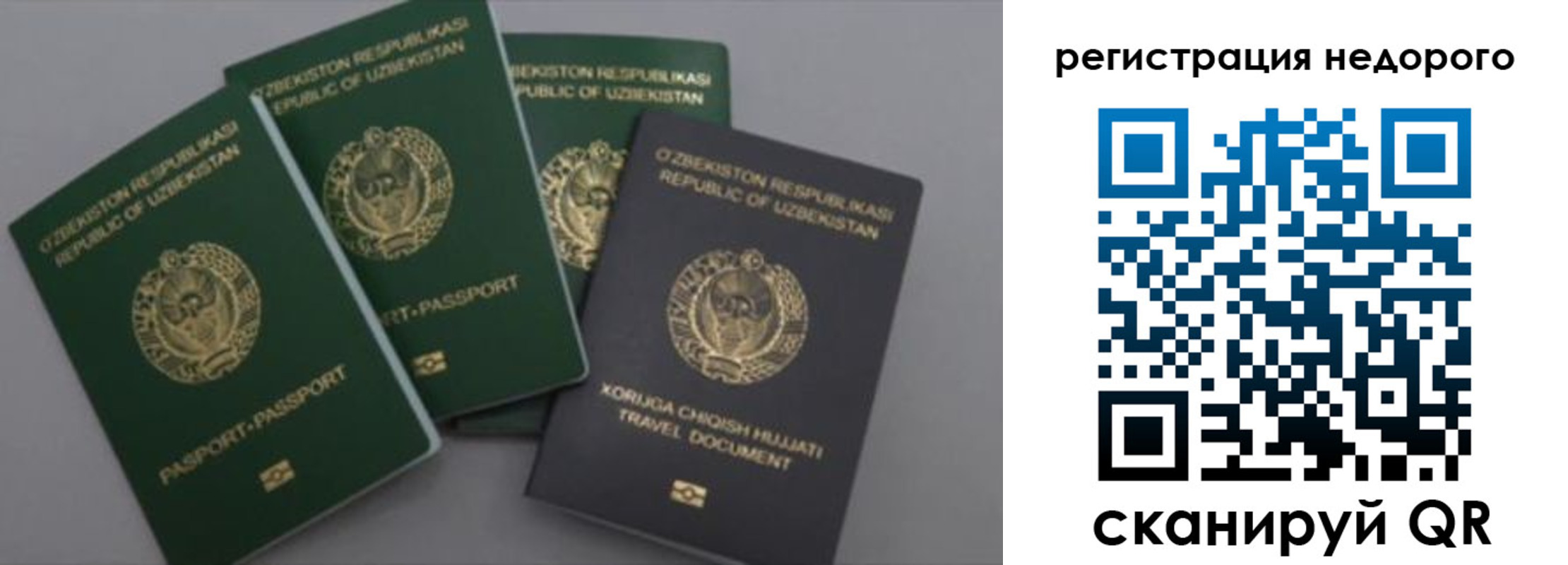 пропишу в квартире в Мурманске
